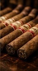 Cigares dominicains premium cerclés de leur bague